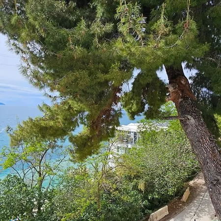 Vista Maris * Kanine